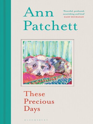 These Precious Days - ebook